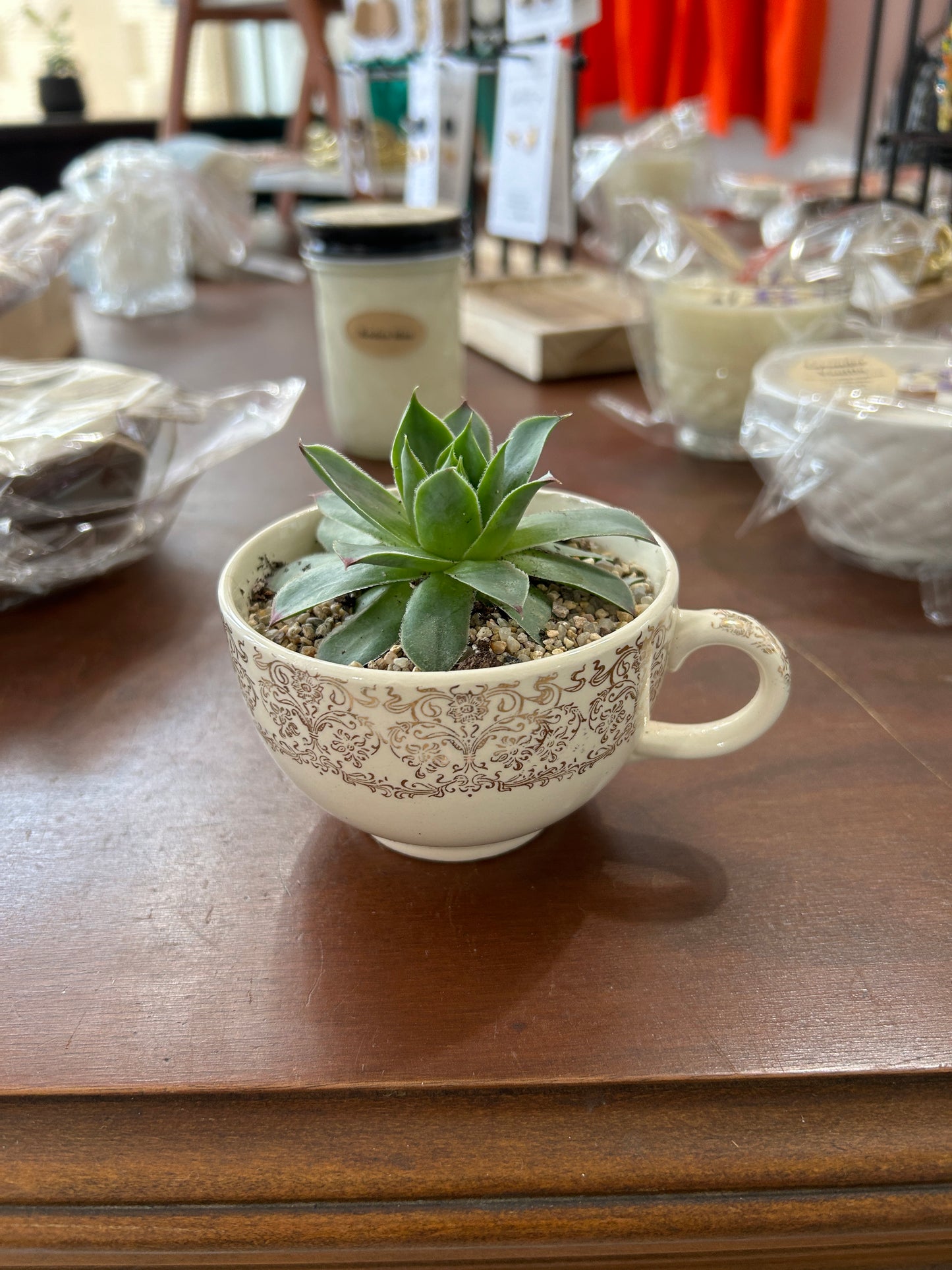Tea Cup Planter