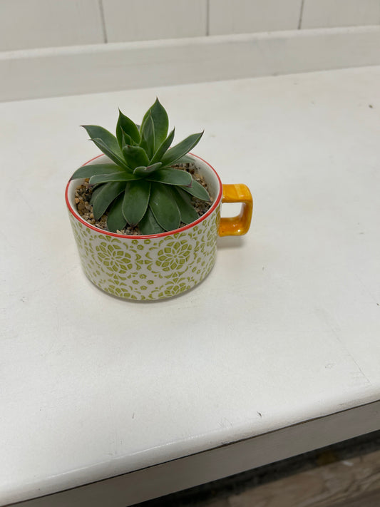 Tea Cup Planter